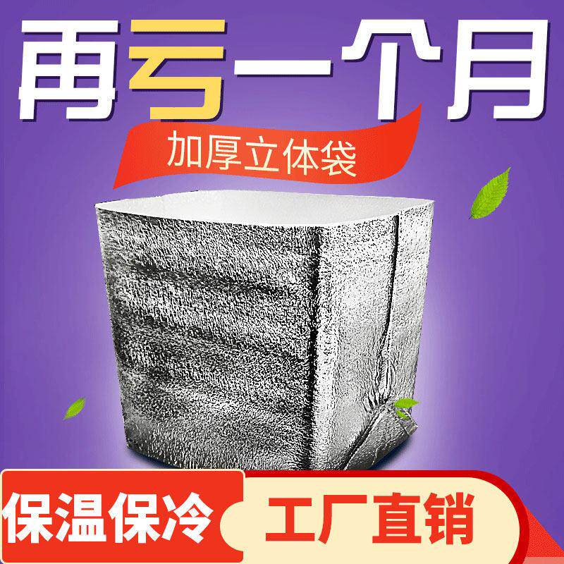 粽子水饺保温袋杨梅端午节生鲜海鲜快递餐盒铝箔立体加厚款包装