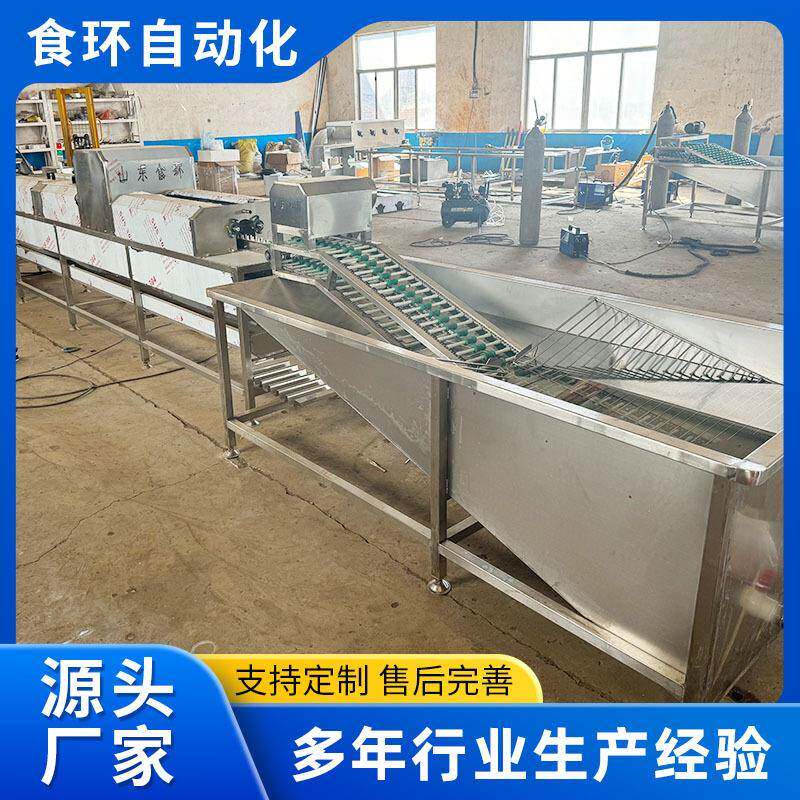 自动光检洗蛋机 保洁蛋清洗去泥设备 鸡蛋喷油保鲜全自动洗蛋机