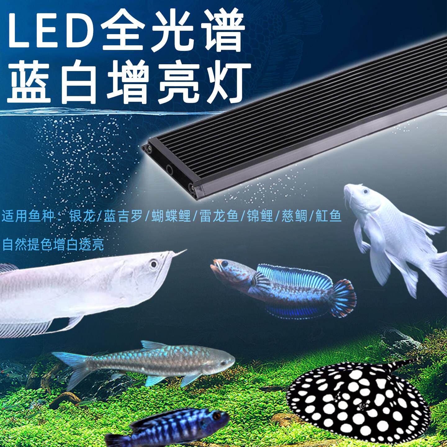 全光谱蓝白混合光银龙电龙三湖慈鲷蝴蝶鲤专用观赏水陆两用鱼缸灯