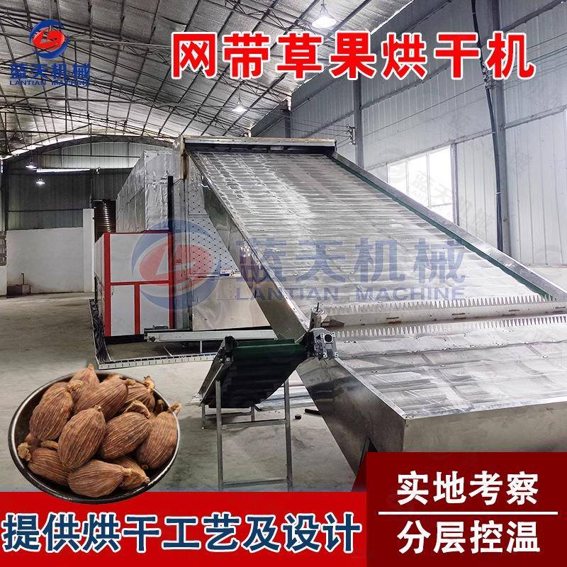 草果烘干机多层隧道式智能草果子老蔻烘干设备网带草果仁干燥机