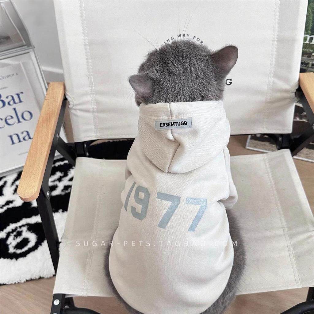 宠物猫咪衣服新款洋气秋冬装布偶猫蓝猫幼猫宠物保暖加绒连帽卫衣