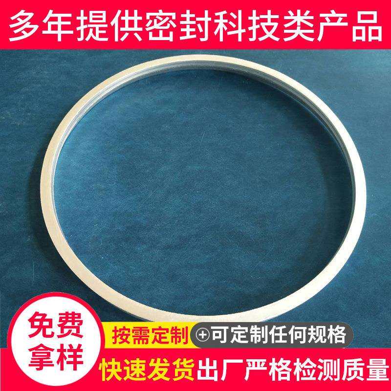 专业生产镀银密封环 金属O型密封环 屏蔽导电密封圈垫