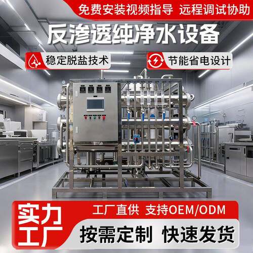 工业全自动1吨RO反渗透去离子水处理设备食品电镀用纯水设备定制