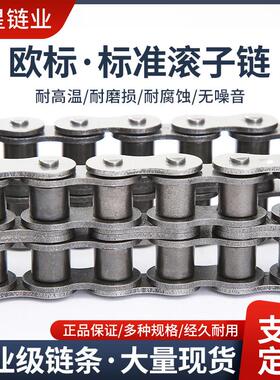 B系列工业传动输送炼条04B05B06B08B10B12B16B20B24B28B32B40B48B