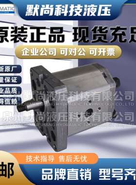 意大利DUPLOMATIC迪普马GP1-0013/0020/0027/0034/L97F/20N齿轮泵