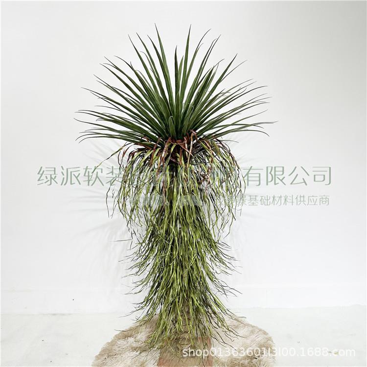 龙血树装饰摆件假芦苇草细叶草假草丛摄影道具草垛草堆绿植造景
