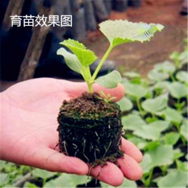 无纺布特价蔬菜瓜果育苗栽培基质