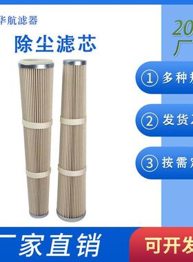 除尘滤筒852903TI18-1-1.0V4A 仓顶除尘器滤筒 锥形除尘滤芯