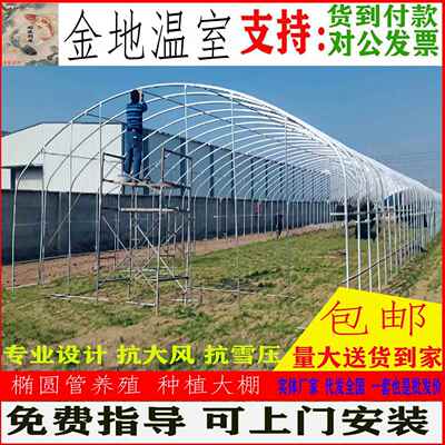 温室大棚骨架热镀锌蔬菜菜园花卉种植养鸡椭圆钢管全套