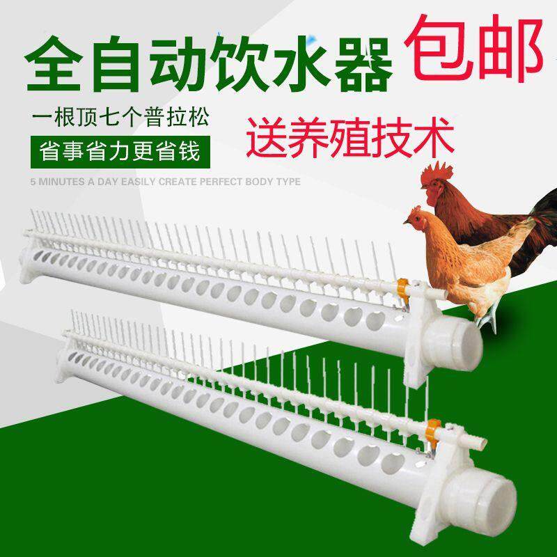 新型鸡饮水器自动喂水新款鸡鸭鹅养鸡自动饮水槽鸡用家禽包邮