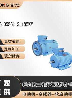 YFB3-355S1-2 185KW 气体粉尘双防爆电机 南洋防爆电动机