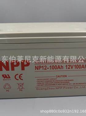 耐普蓄电池2V600AH NPP NP2-600船舶通讯机房光伏发电eps蓄电池组