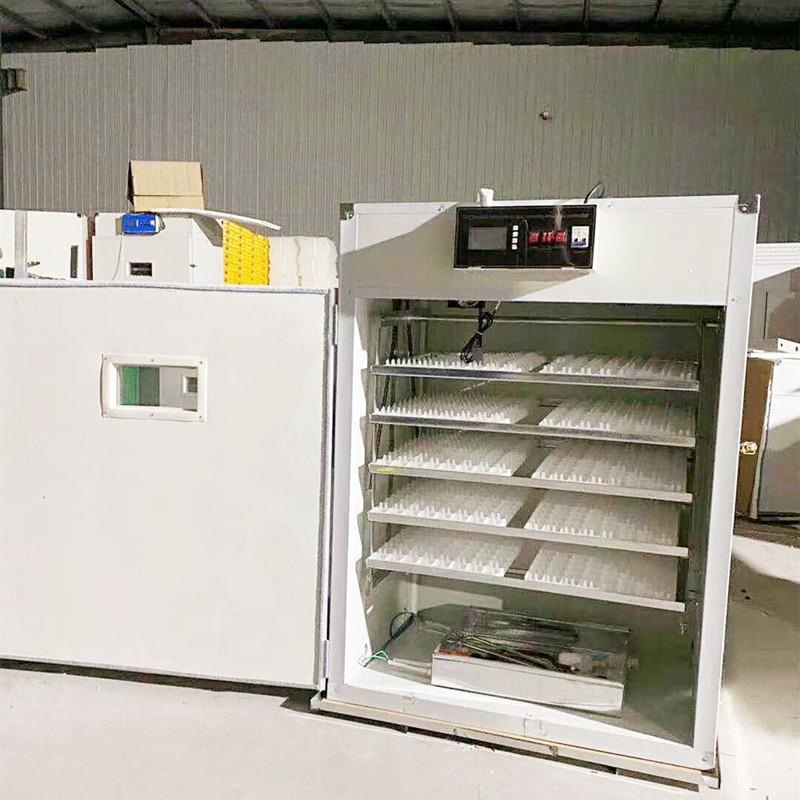 全自动孵化机微电脑控制器1232枚孵化出雏体机家用鸽小型孵蛋器