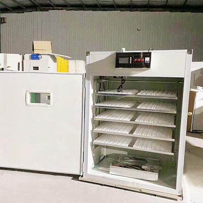 全自孵化 微动电脑OID控制器132枚孵化出雏体机家机2用鸽小型孵蛋