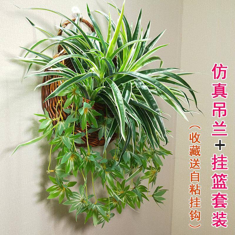 吊兰仿真绿植室内装饰盆栽塑料植物垂吊壁挂墙饰吊篮花品质花热销图片