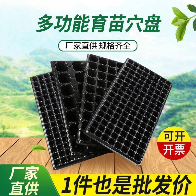 园艺育苗盘平盘塑料育苗盒无孔林木穴盘加厚简易育苗容器