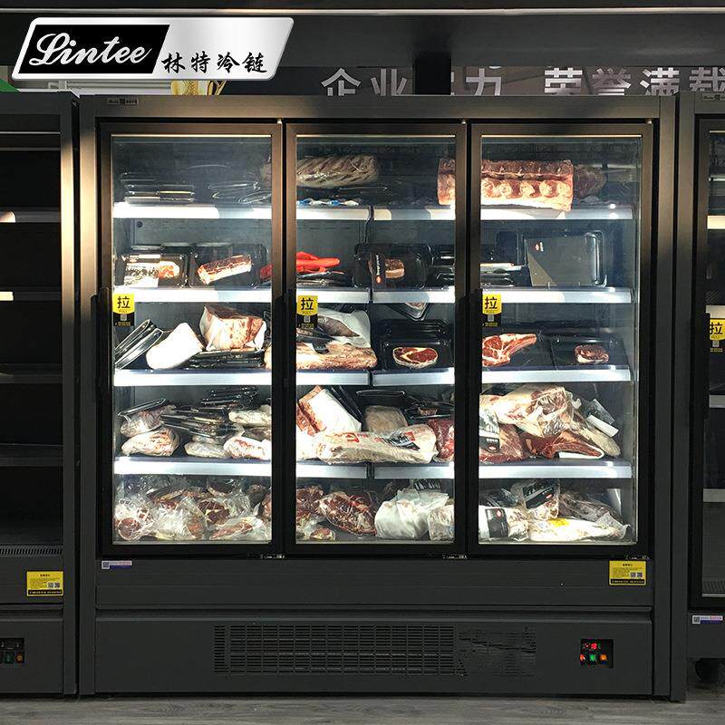 中山林特冰淇淋水饺包点双层中空防雾玻璃门自动化霜3门冷冻立柜