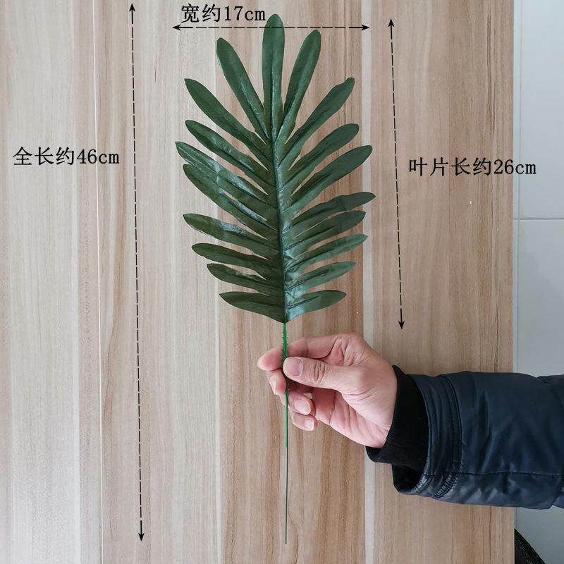 绢布居仿真散加尾葵叶子铁树叶波斯叶仿真植物家花装饰婚庆插2023