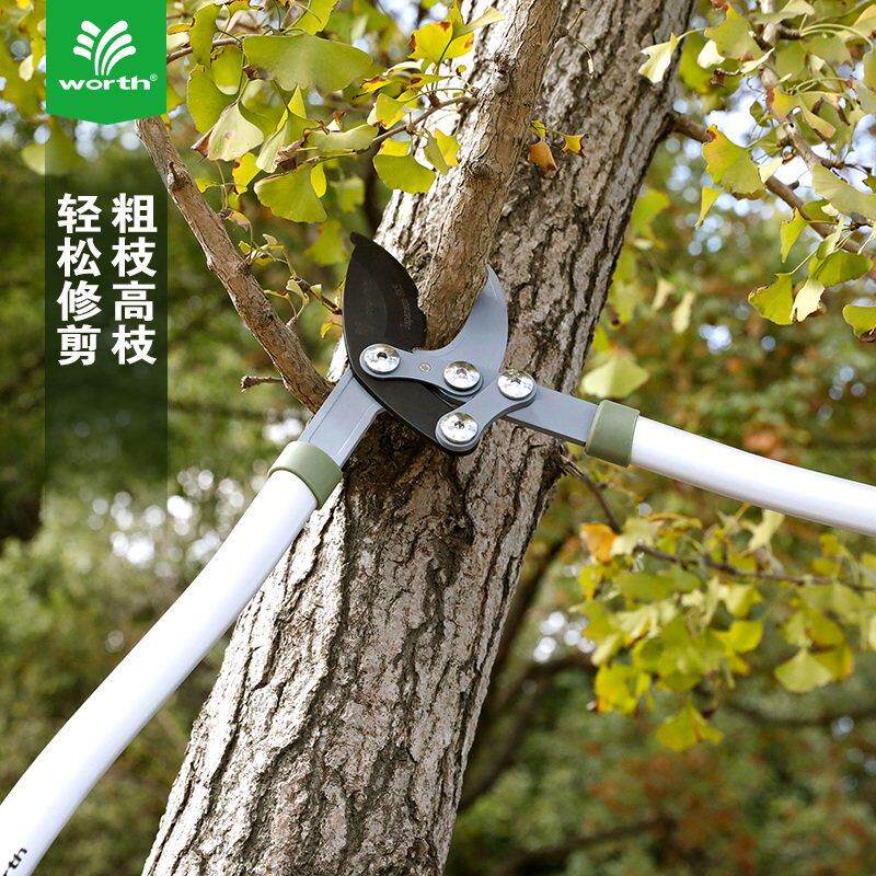沃施家用园林园艺粗枝剪花剪绿篱剪伸缩修枝剪树枝造型大剪刀工具
