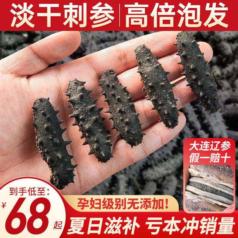 纯淡干海参正宗大连海参干 干货辽参孕妇深海底播参非即食海参