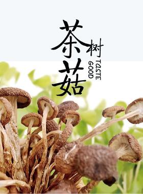 江西特色茶树菇干货不开伞菌菇食用菌干茶树菇500克煲汤食材