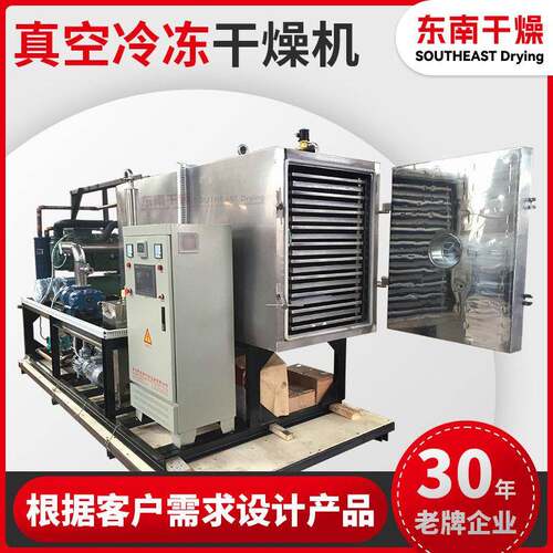 供应FD真空冷冻干燥机原理活性酶液体冻干机水果干烘干机