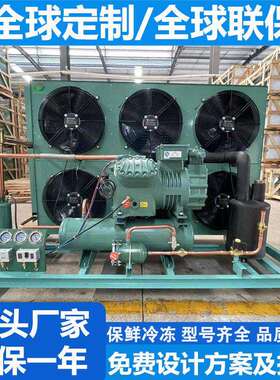 Condensing Unit 半封闭制冷机组冷冻保鲜库冷藏室冷凝机组
