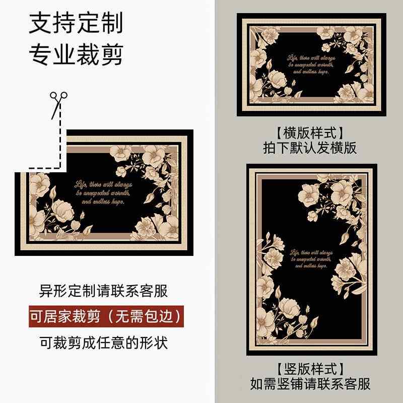 垫垫入户门关轻奢进门脚垫门F775SSSJ口玄入门地毯家用防地滑垫子