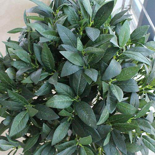 仿真植物橄榄圆形绿树植盆球栽塑料假树室内客门-厅酒店口装饰盆