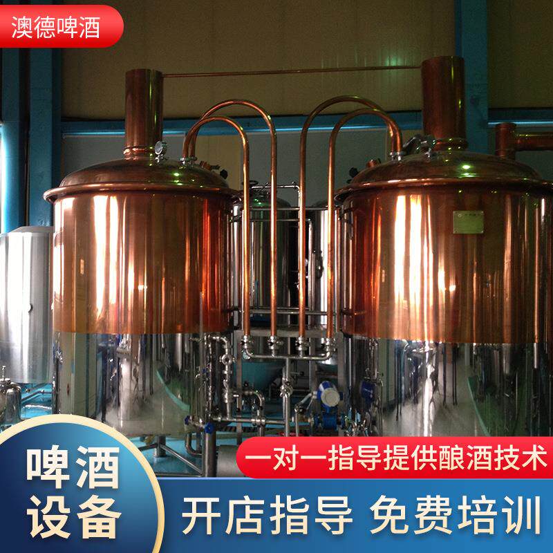 小型精酿啤酒酿酒自酿啤酒机发酵糖化设备厂家