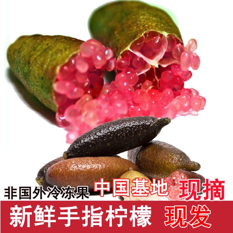 指橙手指柠檬澳洲澳大利亚引进海南种植新鲜鱼子酱餐饮不常见拇指