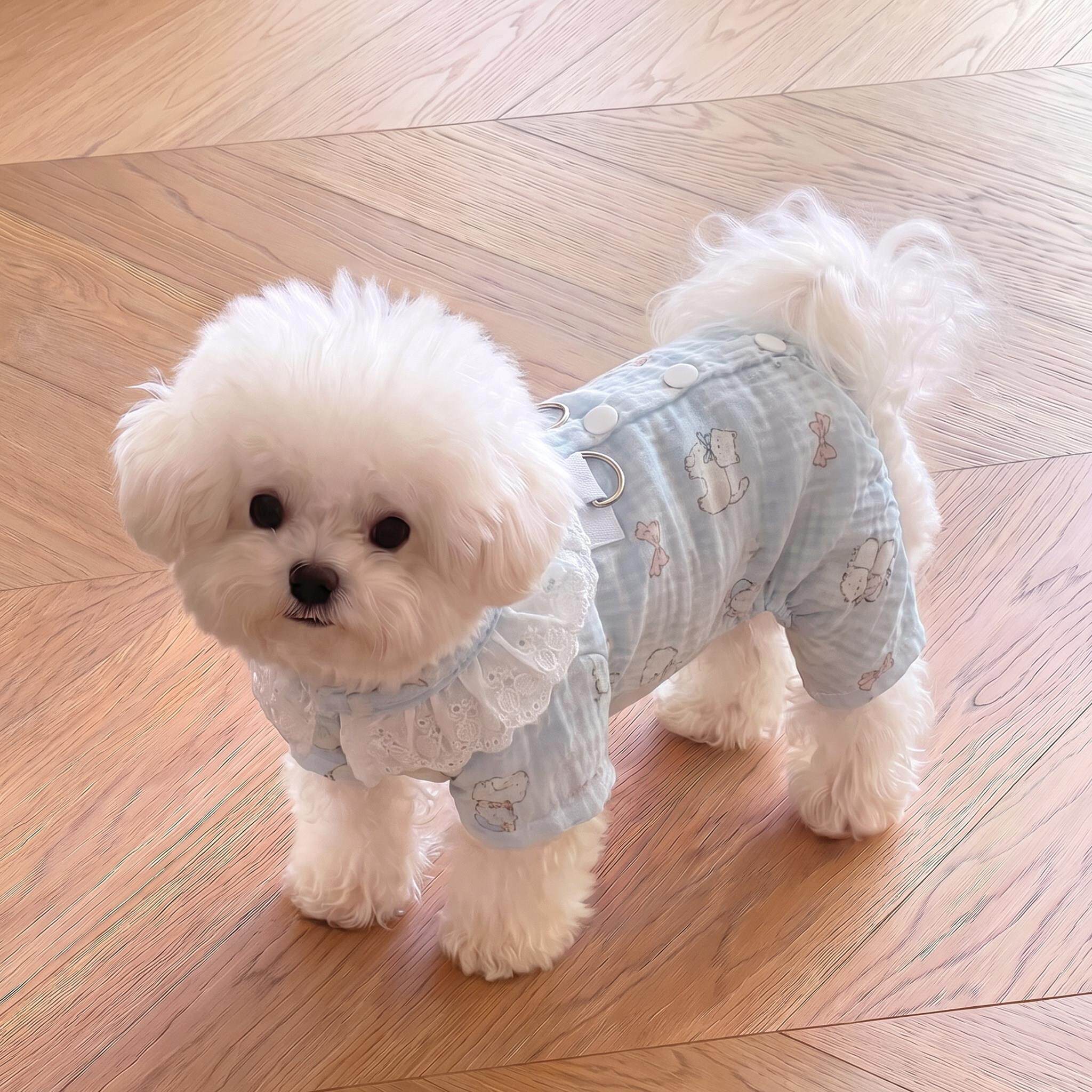 宠物狗狗衣服小狗四脚衣小型犬比熊雪纳瑞春秋季猫咪家居服透气
