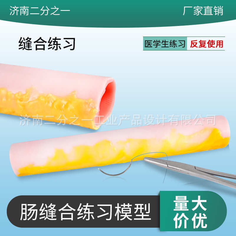 肠缝合吻合练习模型高度仿真