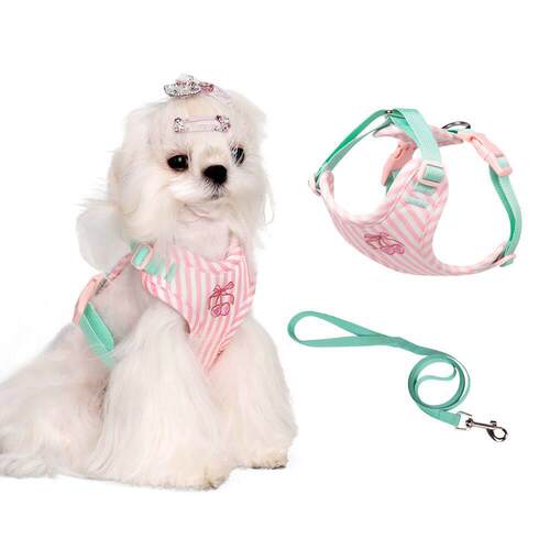 宠物背心式胸背带幼犬胸背牵引绳防挣脱可爱狗绳中小型犬遛狗链子