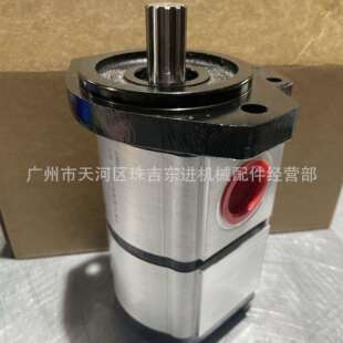 670563ZX Casappa for 07S1 PLP20.11 LOF 20.7 S齿轮