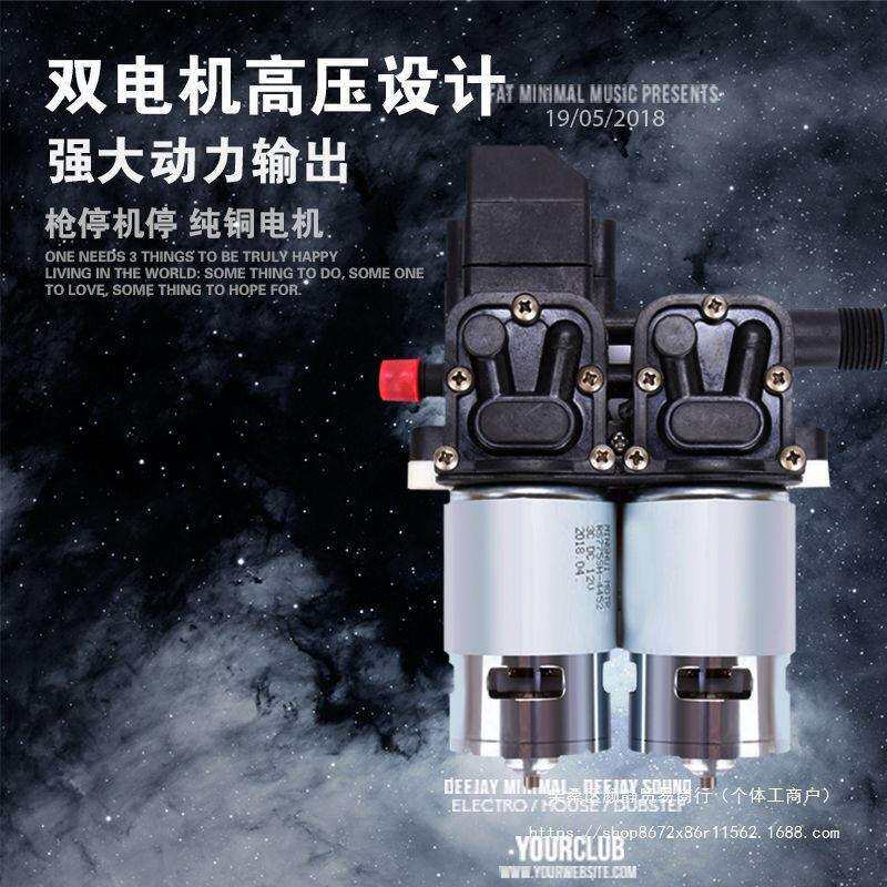 【双铜电机】12V洗车水泵 车载洗车机220V家用便携洗车器刷车直销