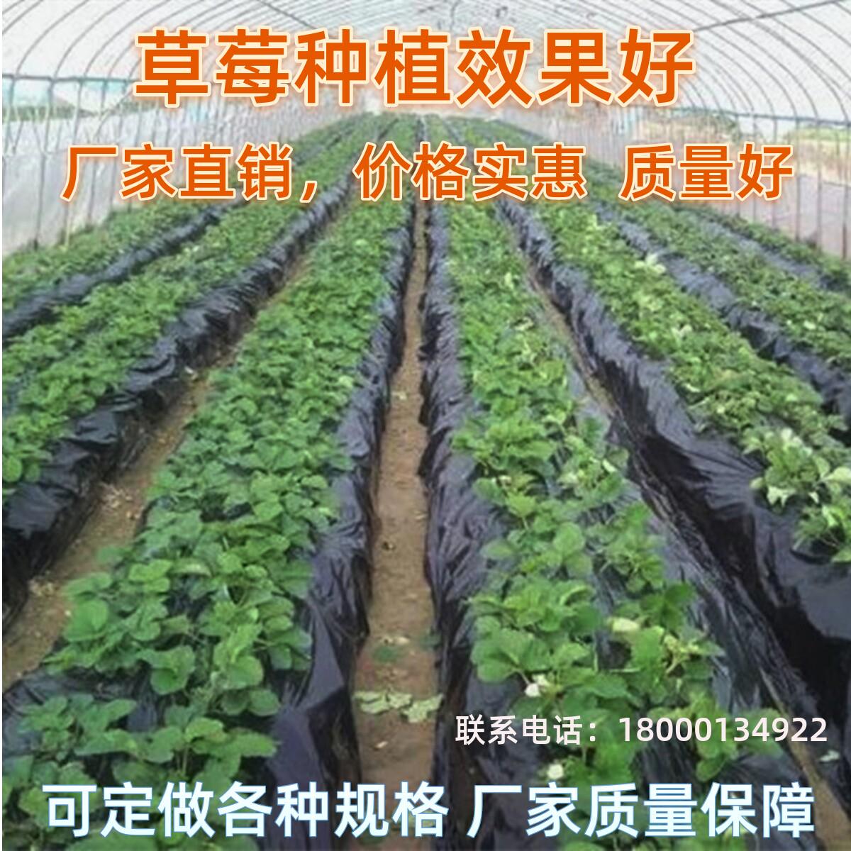 黑地膜塑料薄膜农用种植加厚抗老化除草保温保湿防草大棚果树大棚