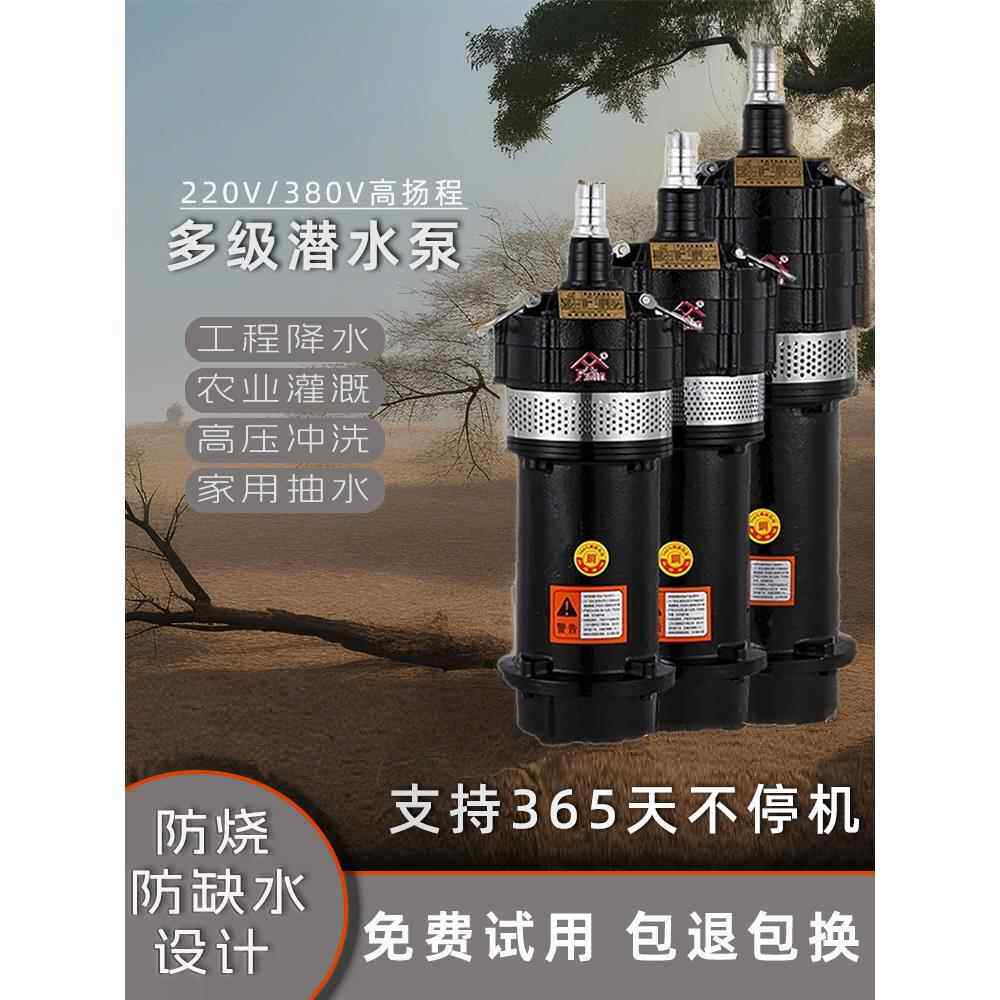投定抗烧多级潜水泵220V高扬程家用井水泵两相大流量农业灌溉
