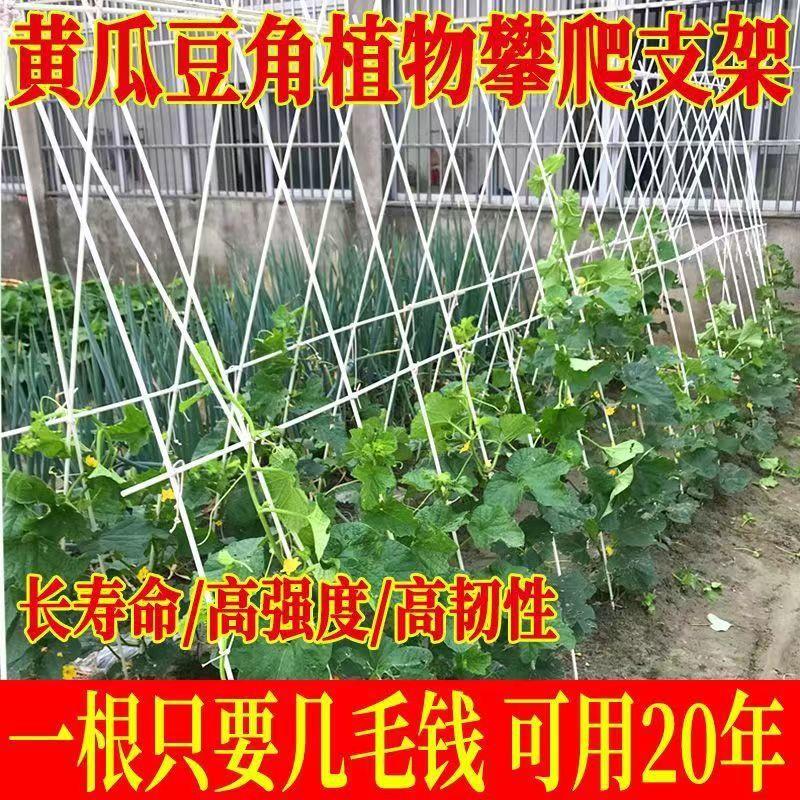 支架芸豆搭棚丝瓜拱竿葫芦黄瓜爬藤架架杆牵引豇豆防腐四季豆豆角
