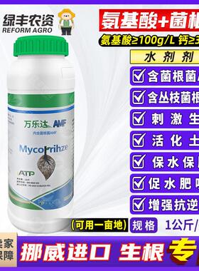 挪威进口AMF菌根菌含氨基酸水溶肥料生根剂土壤改良冲施肥滴灌肥