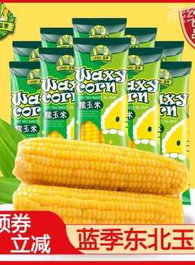 蓝季东北玉米甜糯香浓苞谷非转基因8支生鲜黄糯玉米棒早餐旗舰店