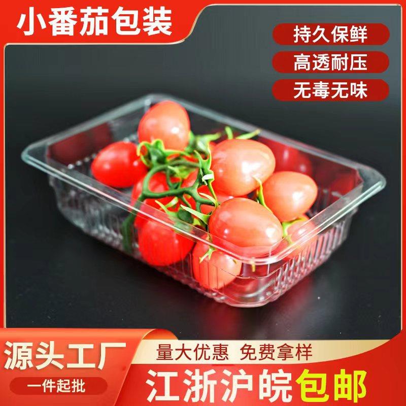 A一次性 超市生鲜果蔬打包盒塑料包装盒托盘吸塑透明水果盒