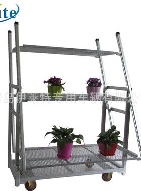 直销鲜花盆栽展示车，花店门口花卉摆放车卖场花卉周转车