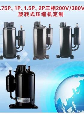 旋转式0.6P匹压缩机DSD096SV-H6AUN制冰机冷藏冷库R404a