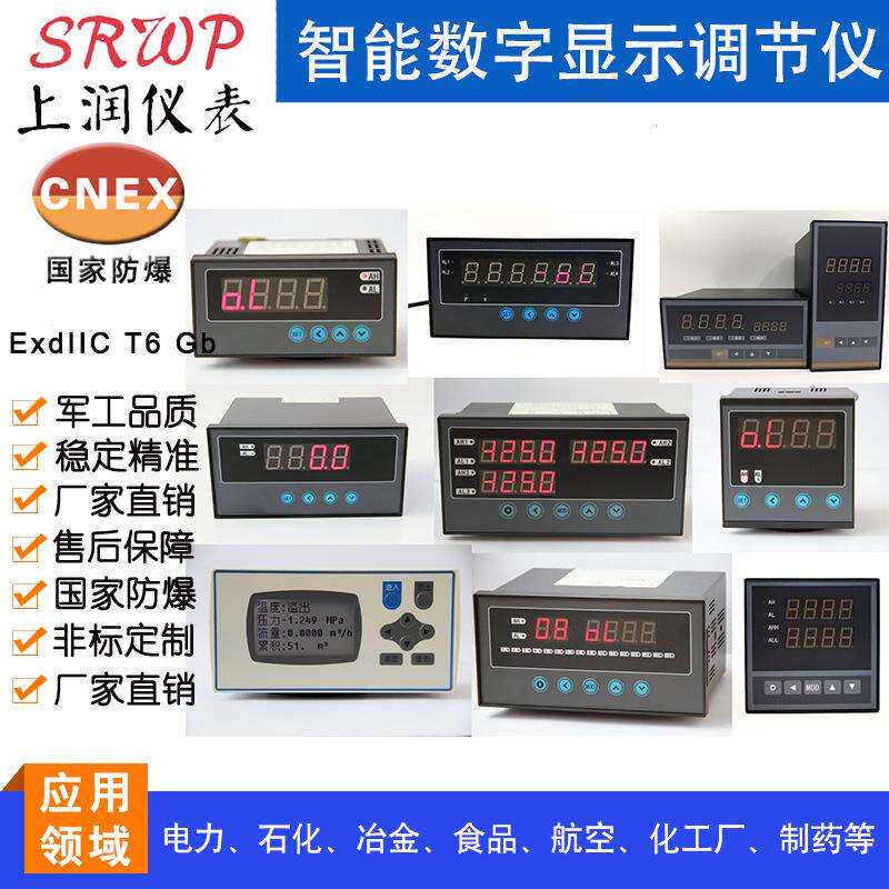 HR-WP-RP-C403-02-24-HL-P-A转速表频率表显示控制仪C40