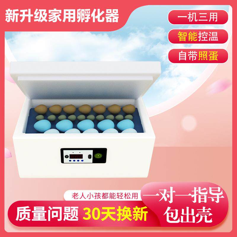 孵化器小型家用智能水床小鸡孵化机鹌鹑孵化箱鸡鸭鹅泡沫孵蛋器