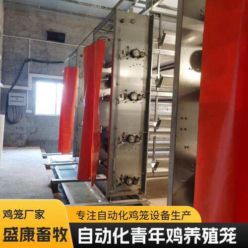 全自动化青年鸡笼多层阶立式鸡笼子养殖笼具热镀锌鸡舍养鸡笼子