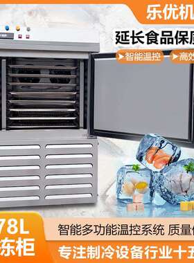 优175选冰棍冻雪糕急速冷柜 水果草莓原浆小芒型商果用低温速冻柜