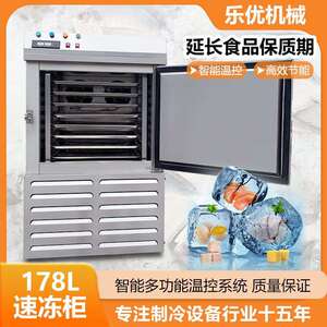 优选冰棍雪糕急速冷冻柜 水果草莓芒果原浆小型商用低温速冻柜