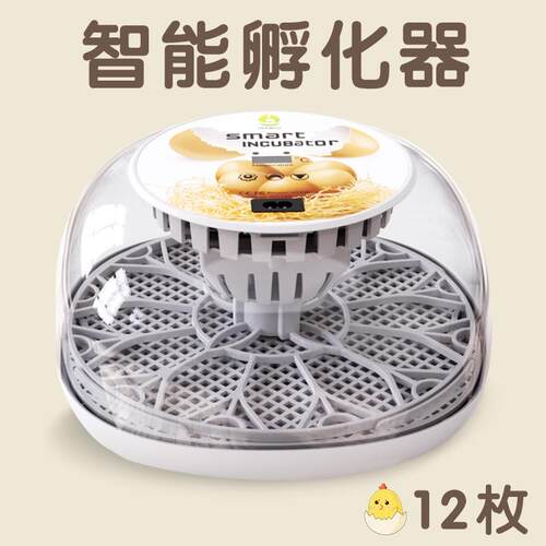 跨境小型全自动智能控温小鸡孵化器孵蛋器家禽家用自动翻蛋
